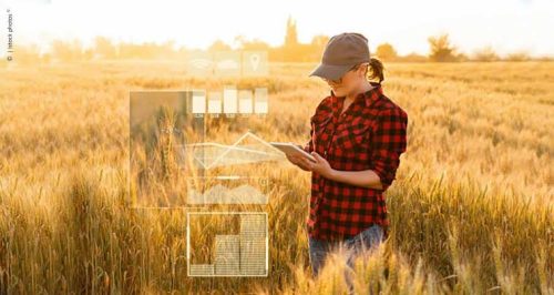 LGPD exige atenção e mudança de cultura do setor de agronegócio no país