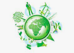 A Medida Provisória nº 1.151/2022 e alterações legais propostas para as Concessões Florestais