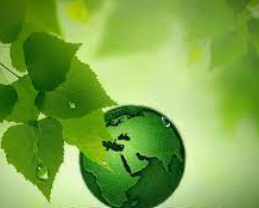 Governo Federal mostra que a pauta ambiental será prioridade nos próximos anos, afirmam especialistas