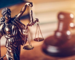 A carona nas atas de registro de preços firmadas sob regência da Lei n. 8.666/1993