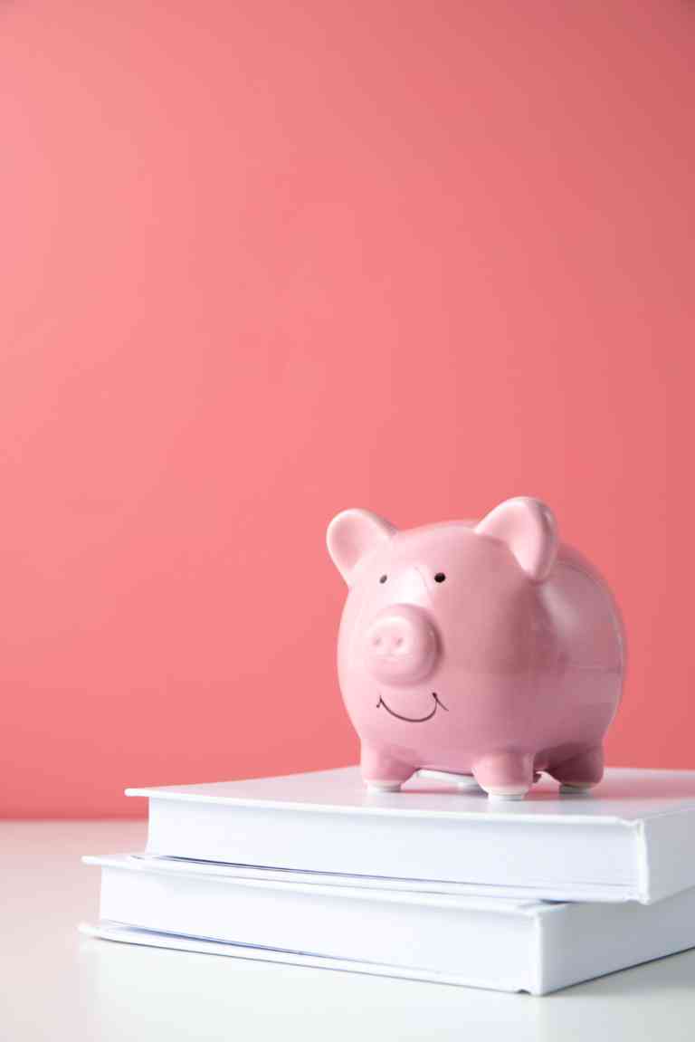 Palestra na Defensoria Pública de Tocantins aborda educação financeira para servidores