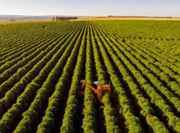 Novo modelo de crédito, seguro rural e inovação para fortalecer o Brasil como potente player global – tema é debatido no Congresso Brasileiro de Direito do Agronegócio