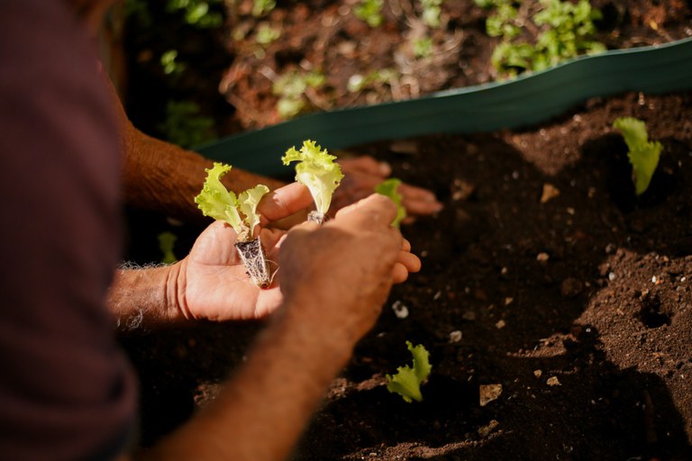 Brasil sai do Mapa da Fome da ONU e tem estratégia reconhecida como exemplo mundial de combate à fome