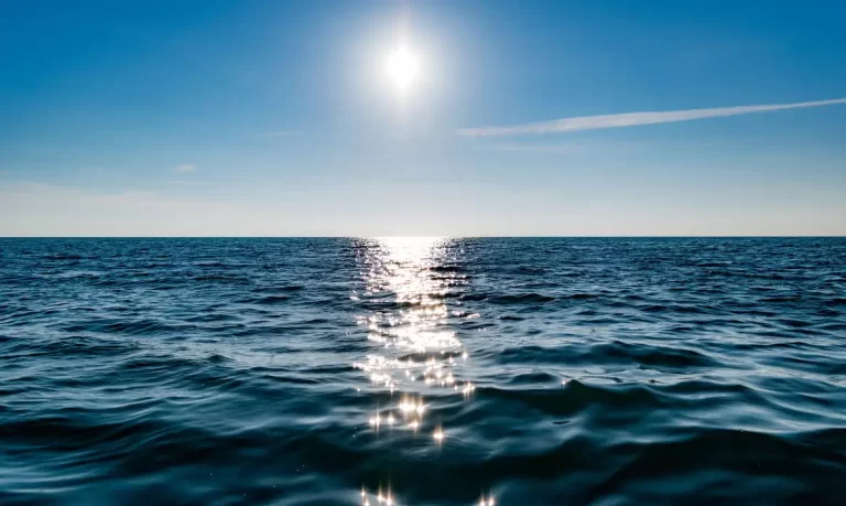 Tratado do Alto-Mar entra em vigor: entenda o que muda para o Brasil